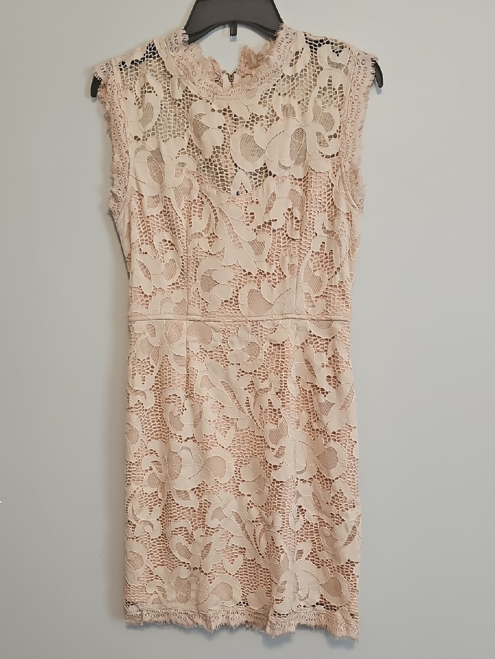 Sans Souci Sleeveless Lace Mini Dress in Blush